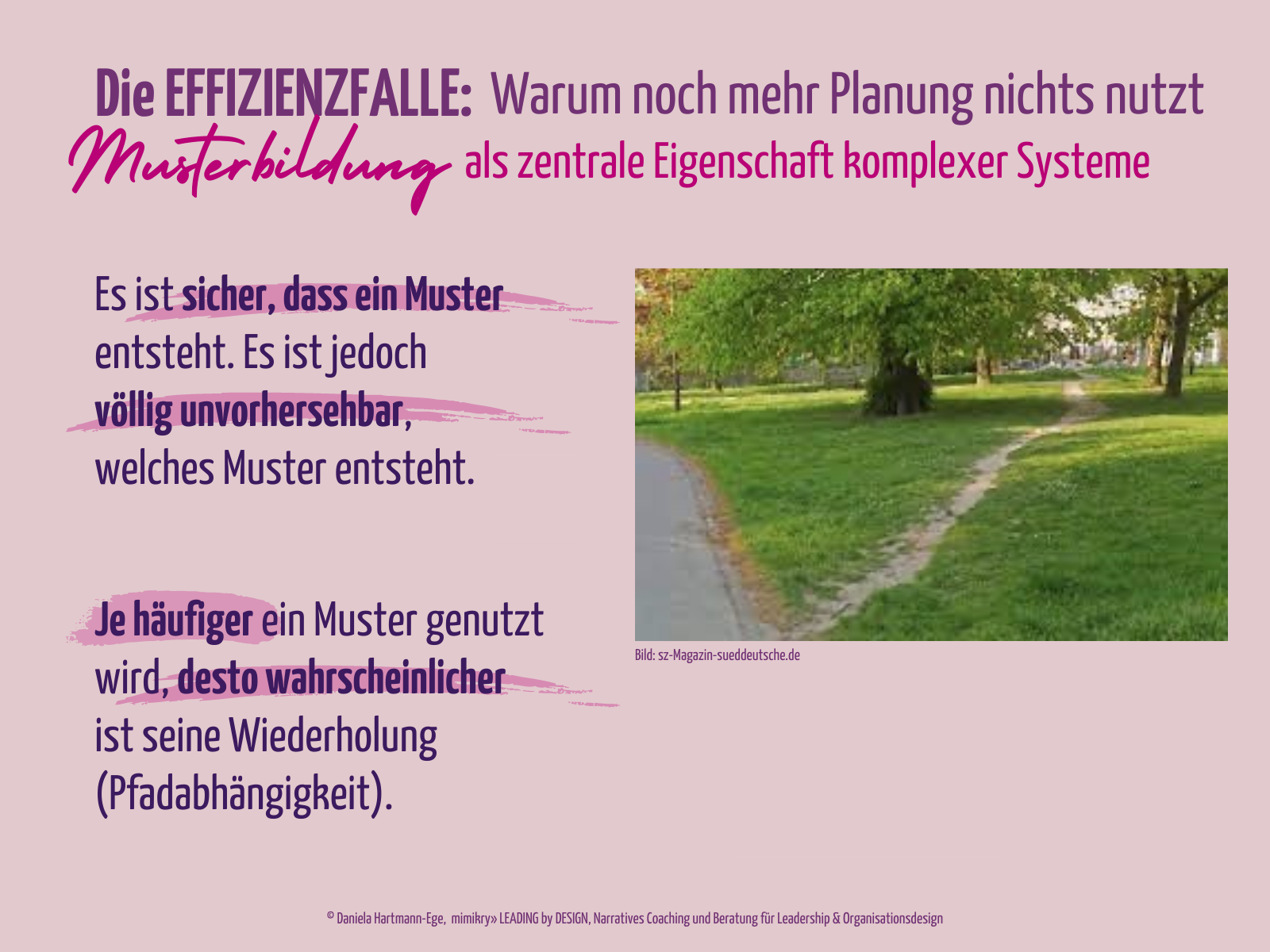 Komplexitätskompetenz: Ein Trampelpfad in einem Park, der typischerweise vom gepflasterten Weg abweicht