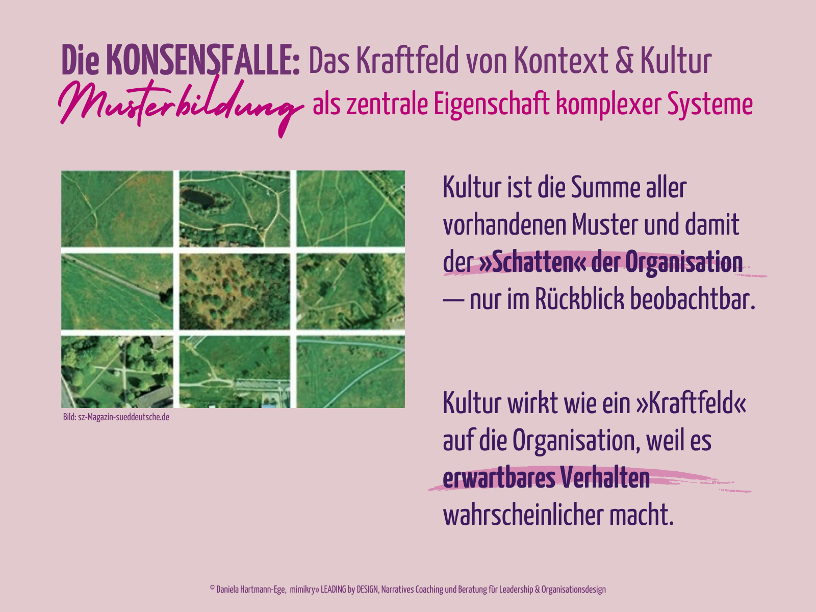 Komplexitätskompetenz: Wir sehen aus der Vogelperspektive viele unterschiedliche Trampelpfade.