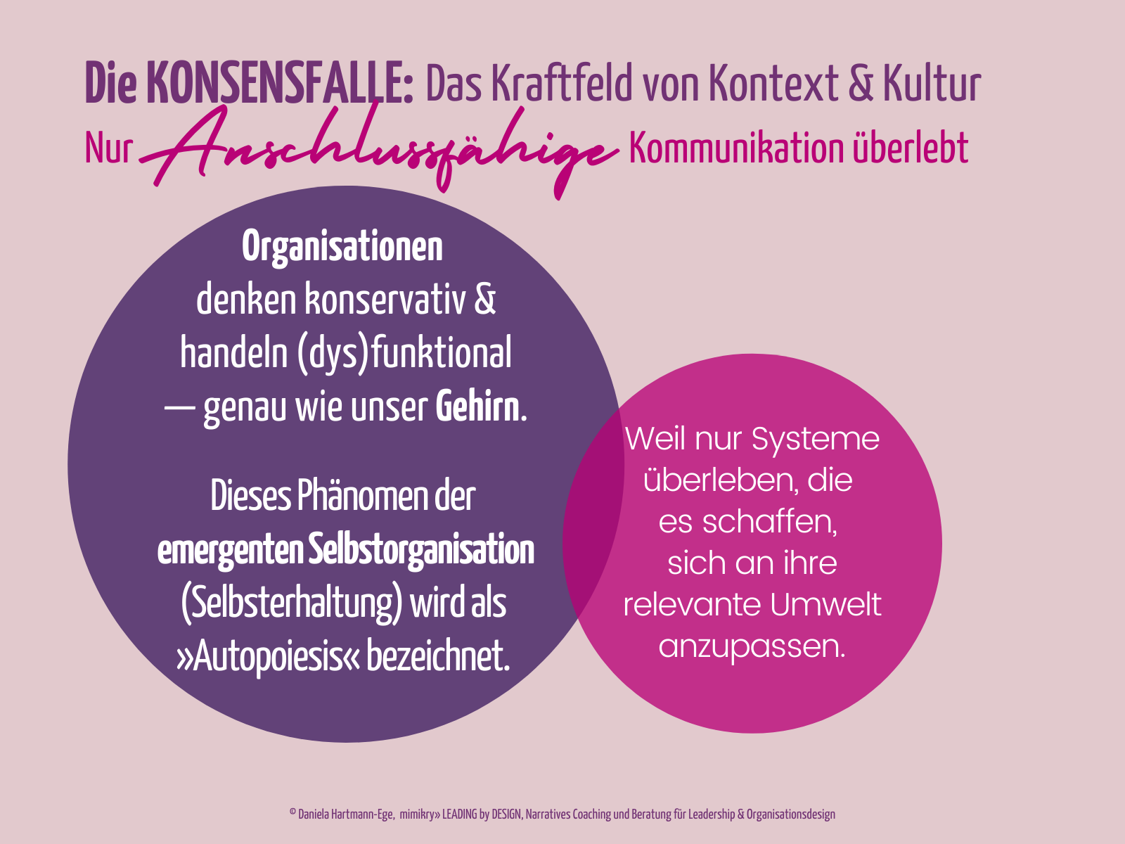 Komplexitätskompetenz: 2 großes Kreise mit dem Fazit. Kreis 1 "Organisationen denken konservativ & handeln (dys)funktional - genau wie unser Gehirn. Dieses Phänomen der emergenten Selbstorganisation (Selbsterhaltung) wird als »Autopiesis« bezeichnet. Und Kreis 2 "Weil nur Systeme überleben die es schaffen, sich an ihre relevante Umwelt anzupassen."
